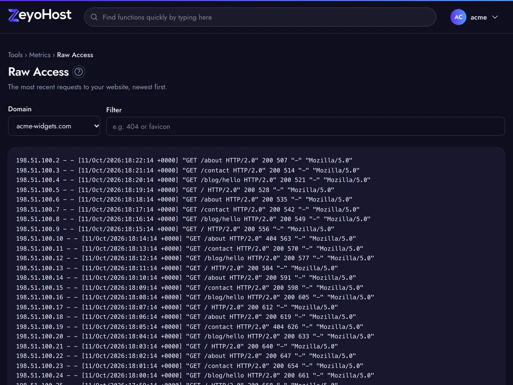 The Raw Access page with a Domain menu and a Filter field above the latest requests to the chosen website.
