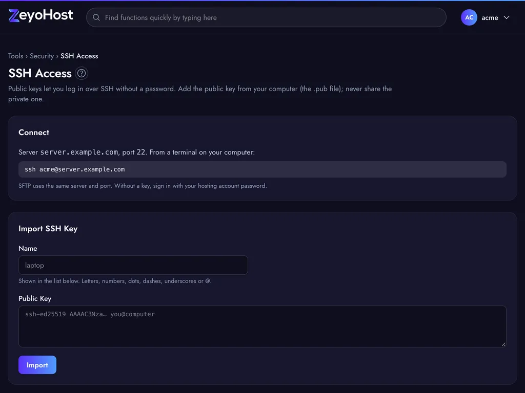 The SSH Access page with the Connect panel (server, port and ssh command), the Import SSH Key form (Name and Public Key) and the Authorized Keys table listing each key's name and fingerprint.