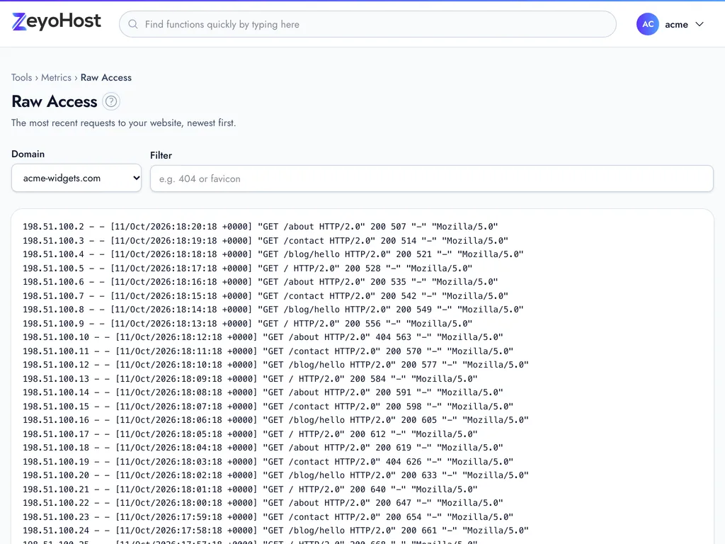 The Raw Access page with a Domain menu and a Filter field above the latest requests to the chosen website.