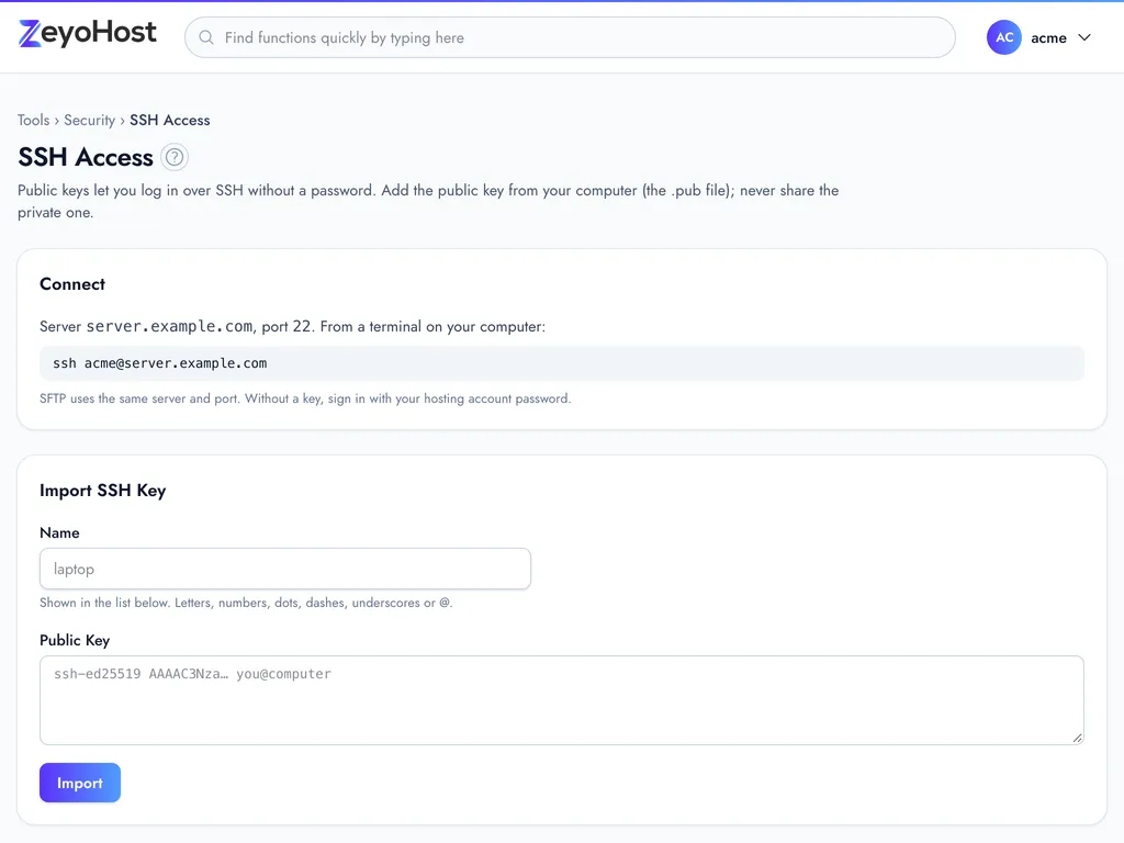 The SSH Access page with the Connect panel (server, port and ssh command), the Import SSH Key form (Name and Public Key) and the Authorized Keys table listing each key's name and fingerprint.