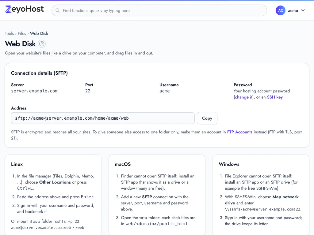 The Web Disk page with the SFTP server, port, username and password details, the address with a Copy button, and steps for Linux, macOS and Windows.